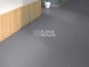 Tarkett iq Melodia 2604 фото 2 | FLOORDEALER